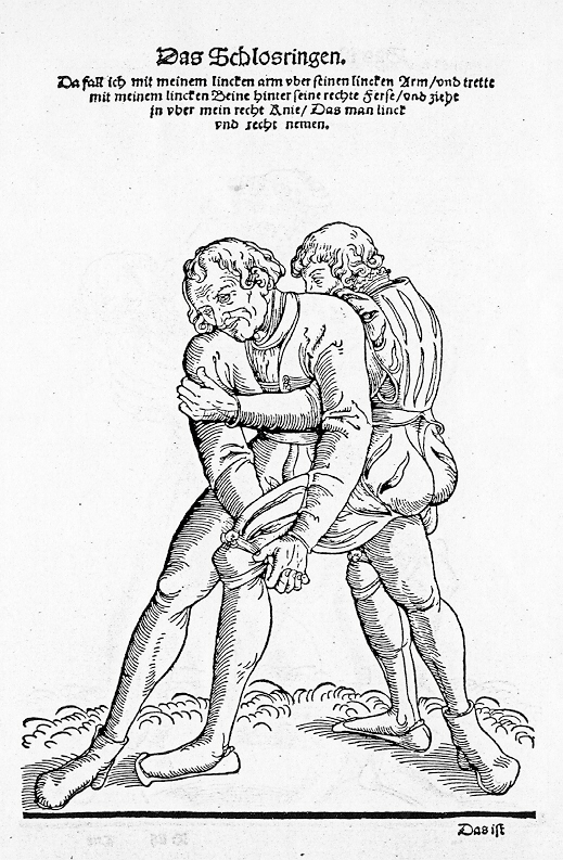 Bild 12